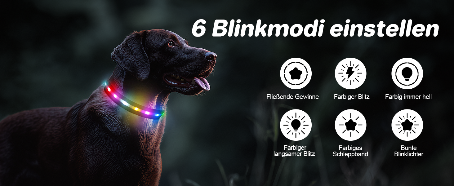 Світлодіодна нашийник для собак Feycig з USB зарядкою - водонепроникний, регульований, 3 режими, для малих, середніх та великих собак (Чорний, L(48-60см))