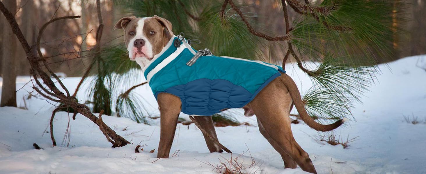 Зимовий теплий одяг для собак - куртка, пуловер, жилет для маленьких собак, чихуахуа (XXL, темно-зелений)