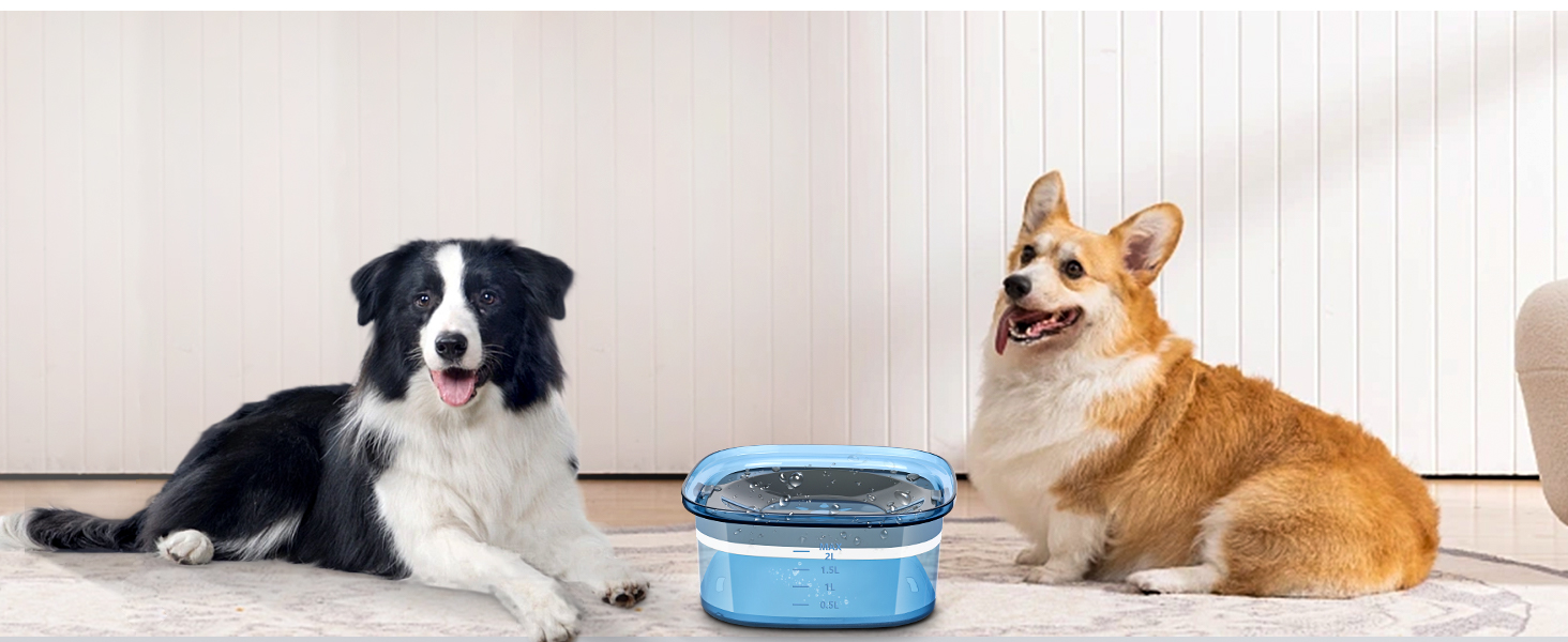 Миска для собак PETTOM, 3L, анти-сальна, проти протікання, для дому та вулиці (блакитна)