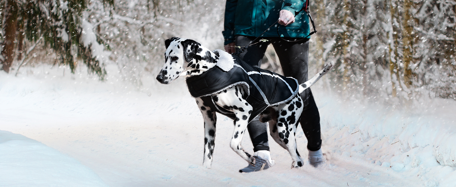 Теплий зимовий одяг для собак VIVAGLORY Frostfit: софтшелл з підкладкою з флісу, захист від снігу та холоду, світловідбиваючі елементи, сірий, XS (37-44см)