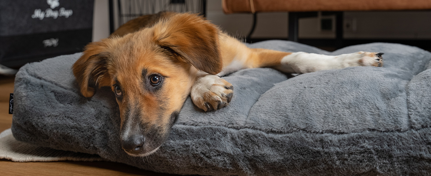 TrendPet Maya Ortho - Ортопедичне ліжко для собак (80x60 см)