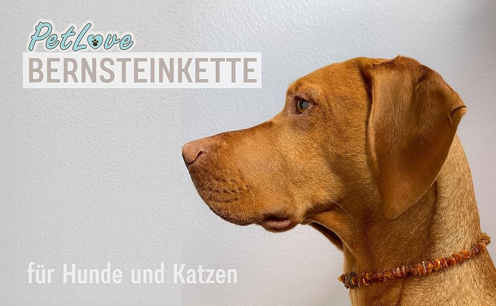 Намисто з бурштину для собак PetLove • 100% балтійський бурштин • Обов'язкове для собак та котів • Довжина: 50-55 см