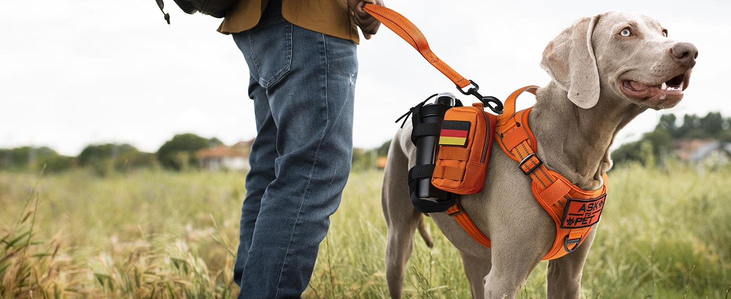 Нагрудник для собак Rabbitgoo середнього розміру, анти-тяга, регульований, з ручкою, міцний, тактичний, з металевими пряжками, для прогулянок (M, Помаранчевий)