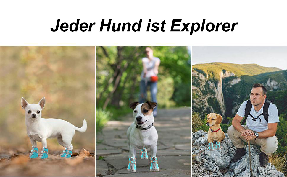 Водонепроникні чоботи для собак (4 шт.) з регульованими ремінцями та світловідбиваючими елементами, для собак малих та середніх порід