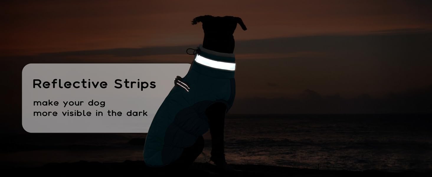 Зимовий теплий одяг для собак - куртка, пуловер, жилет для маленьких собак, чихуахуа (XXL, темно-зелений)