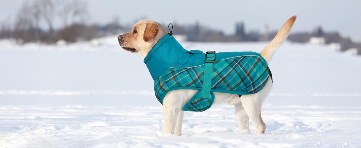 Водонепроникний зимовий теплий одяг для собак - куртка для маленьких, середніх та великих собак. Теплий одяг для собак з безпечними світловідбиваючими смугами для Лабрадорів, Чихуахуа, Французьких бульдогів. Зелений камуфляж