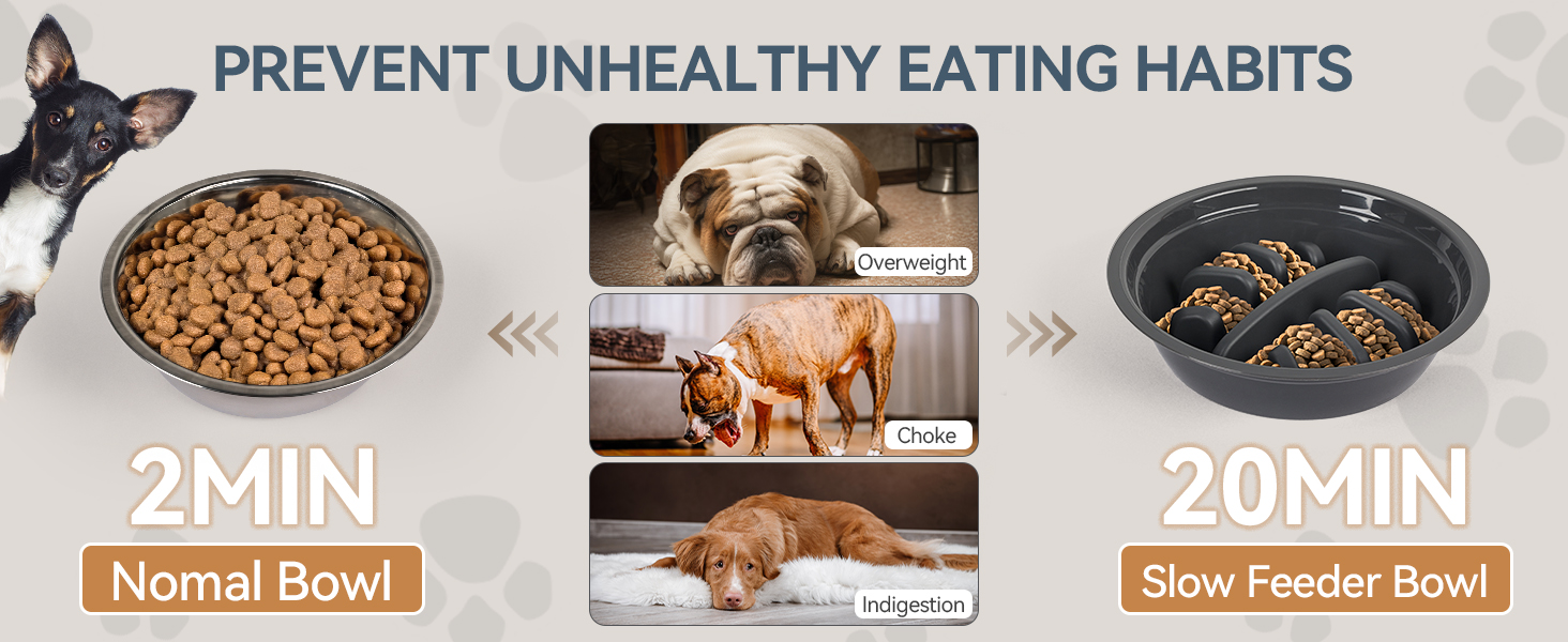 Підвищений годівниця для собак PAWISE, 5 рівнів регулювання, для собак маленьких, середніх та великих порід, з двома великими мисками з нержавіючої сталі, антиковзаюча, BPA free пластик