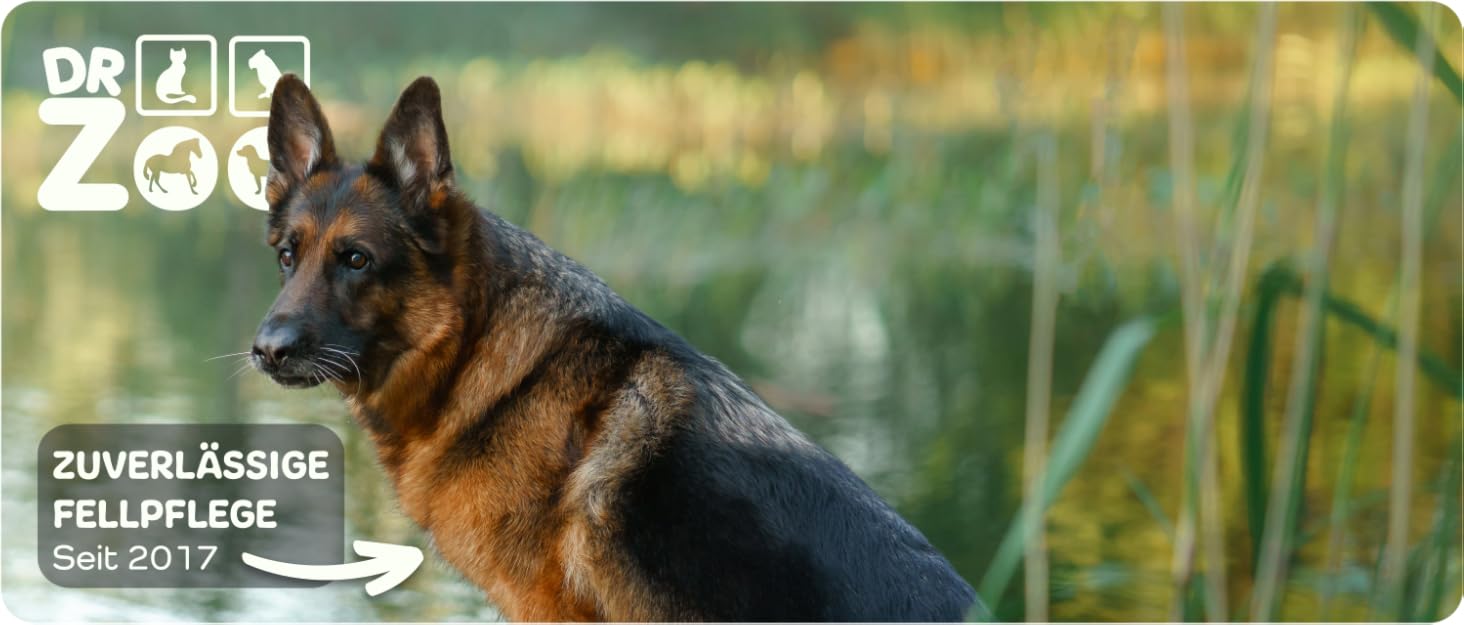 Дзеркальна щітка для собак DR Zoo 'Robbi' – ідеальна для грумінгу, видаляє підшерсток та короткий пух