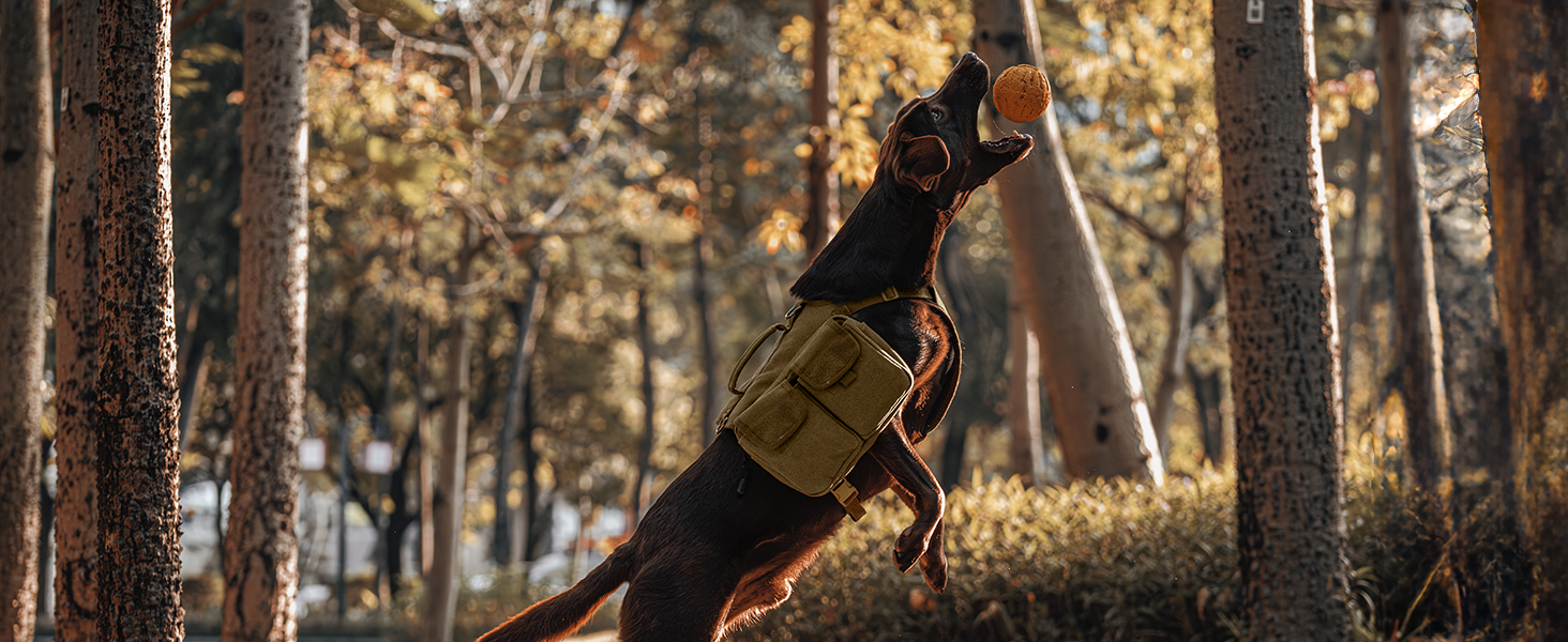 Шлейка для собак OneTigris з рюкзаком, Hoppy Camper 3.0, для кемпінгу та піших прогулянок, зелена, L