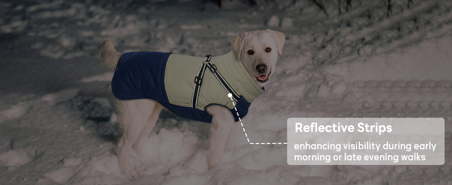 Водонепроникний зимовий теплий одяг для собак маленьких порід, чорний, розмір M