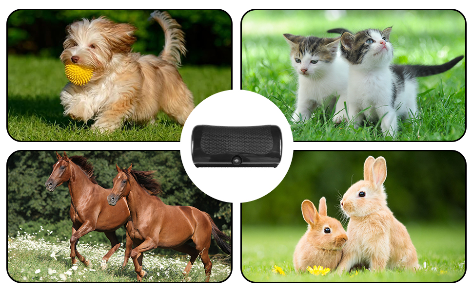 Щітка для собак Fellwunder, Pfotenmond, Groomify, Deshedding: видалення ворсу та шерсті