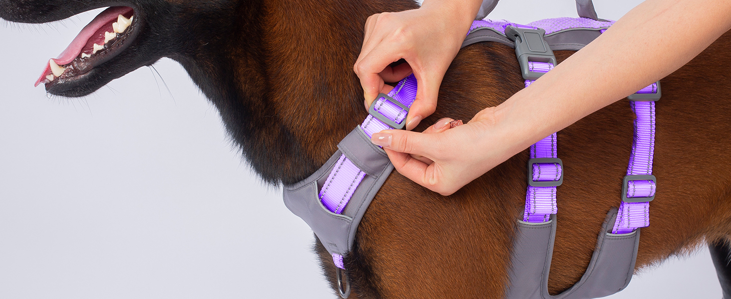 Шлейка Huntboo для собак - антистресова, з ручкою, для малеких, середніх та великих порід (S, M), лавандова