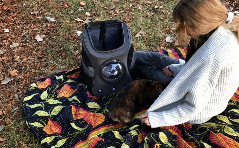 Рюкзак для котів та собак Lollimeow - великий, сірий, 38x30x45 см. Підходить для перевезення в літаку.