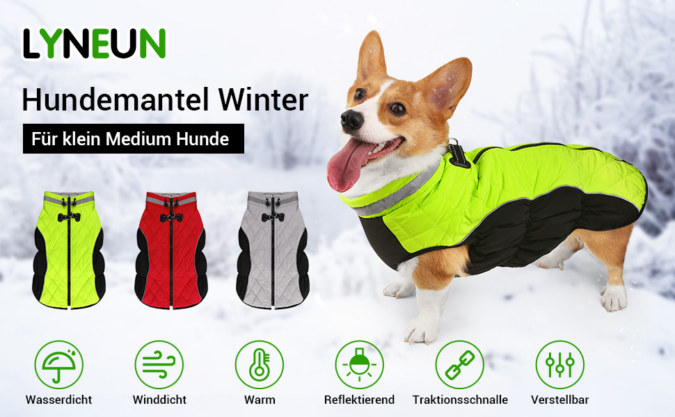 Зимова куртка для собак, водонепроникна, тепла, м'яка, вітрозахисна. З облаштуванням для повідка, світловідбиваюча, з блискавкою та регульованою застібкою. Для малих та середніх собак (Зелений, XL)