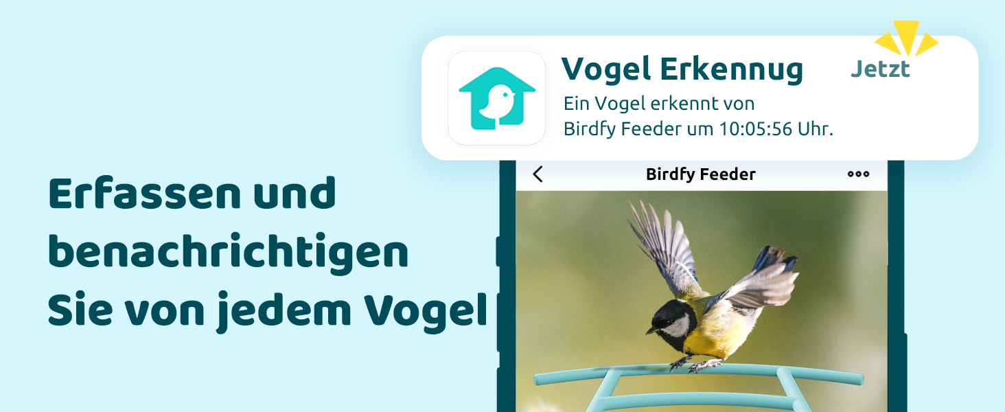 Пташина годівниця з камерою NETVUE Birdfy, Wi-Fi, сонячне живлення, повнокольорова нічна зйомка, автоматичний запис відео при відвідуванні птахів