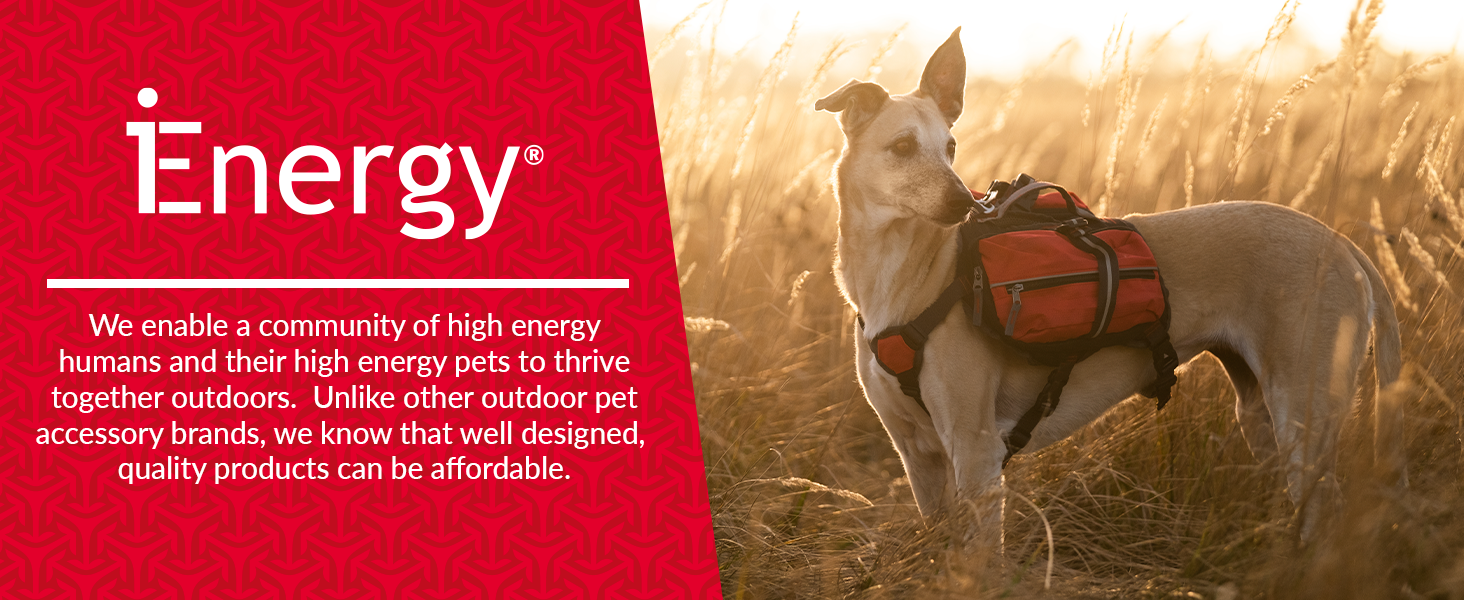 iEnergy™ MAL Hunderucksack: Водонепроникний рюкзак для собак – зручний та добре об'ємний для походів (маленький)