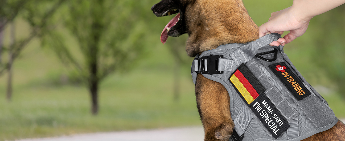 Шлейка для собак Rabbitgoo великих порід, без натягу, тактична з MOLLE, металеві пряжки, дихаюча, військова, регульована, з підкладкою, сіра, L (1 шт.)