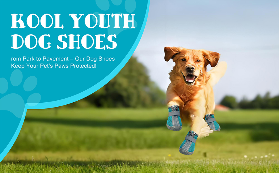 Взуття для собак, захист подушечок лап, Outdoor, 4 шт. Дихаючі чоботи для собак, регульовані, для маленьких та середніх собак (5, блакитний)