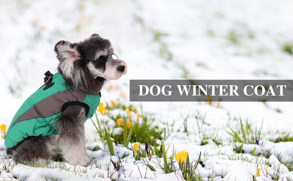Зимовий теплий одяг для собак, теплий зимовий одяг, вітронепроникний, світловідбиваючий, флісовий, одяг для собак з шлейкою, теплий флісовий жилет для собак, розмір XL, одяг для собак, на блискавці, одяг для собак від снігу, зелений