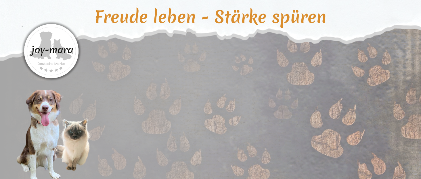 Водонепроникна сумка-лейкос для собак, поясна сумка для дресирування, сумка для прогулянок з тримачем для пляшки, сумка для корму з дозатором для відходів (чорна)