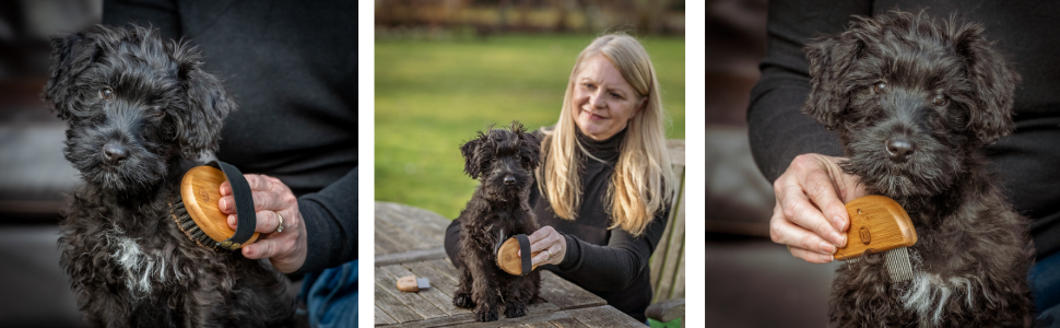 Набір для догляду за шерстю Міккі 6280004 для цуценят та молодих кошенят: щітка з щетиною та гребінець, для собак та котів, з бамбука, 130 г