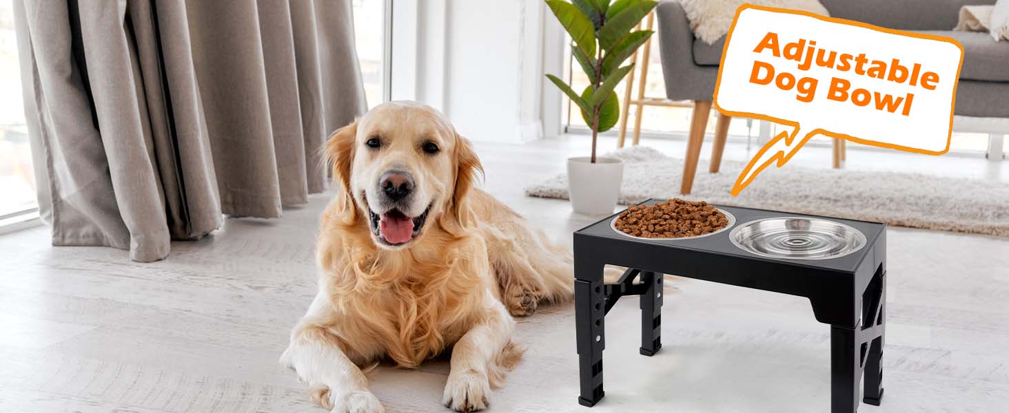 Підвищена годівниця для собак та котів, регульована висота, з нержавіючої сталі, 2 миски, чорна