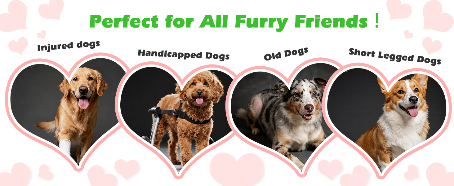 Nobleza Рампа для собак, розкладна, 170 см, антиковзаюча поверхня, для SUV, позашляховиків, вантажівок та сходів, стабільна, для великих та середніх собак до 110 кг