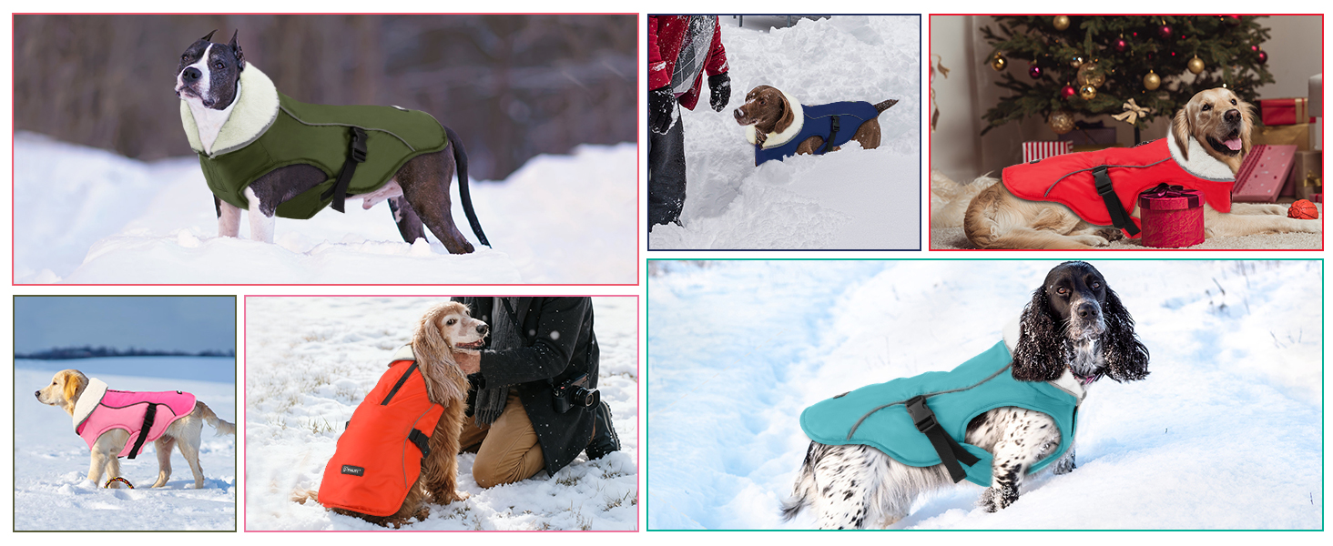 Зимовий теплий намет для собак EMUST, водонепроникний, регульований, для маленьких, середніх та великих собак, зелений, розмір L, блакитний