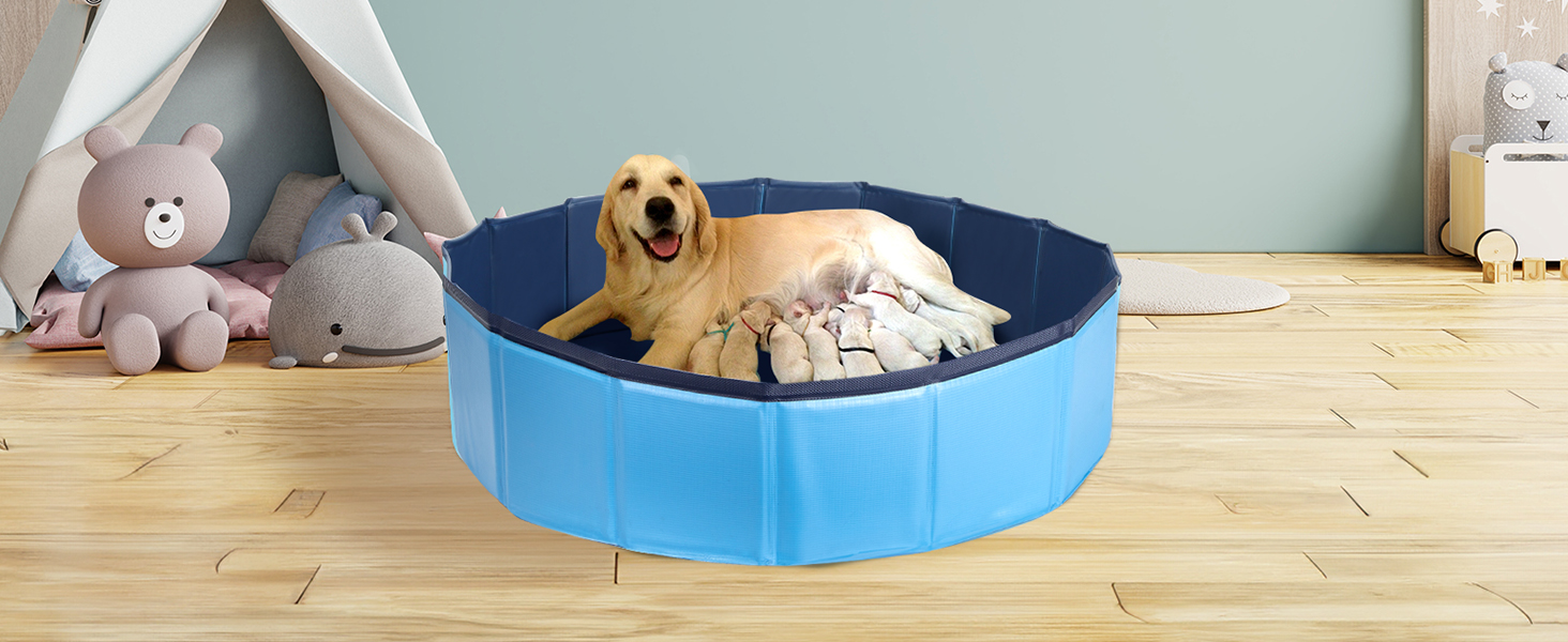 Басейн для собак Nobleza - басейн-плавальний басейн для великих і малих собак, котів, 80*20 см та 120*30 см, блакитний та жовтий