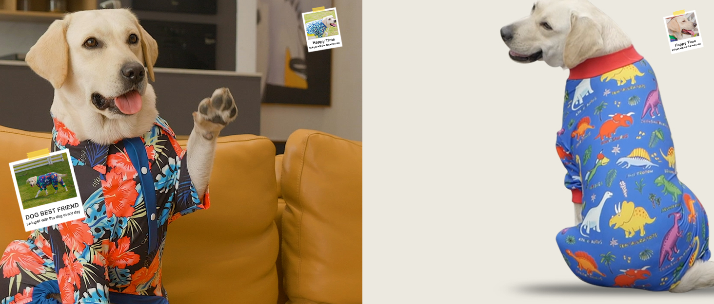 Піжама для собак LovinPet з повним покриттям, чорна окантовка, серветкова техніка, захист від УФ-променів, післяопераційний період, X-Large (упаковка 1)