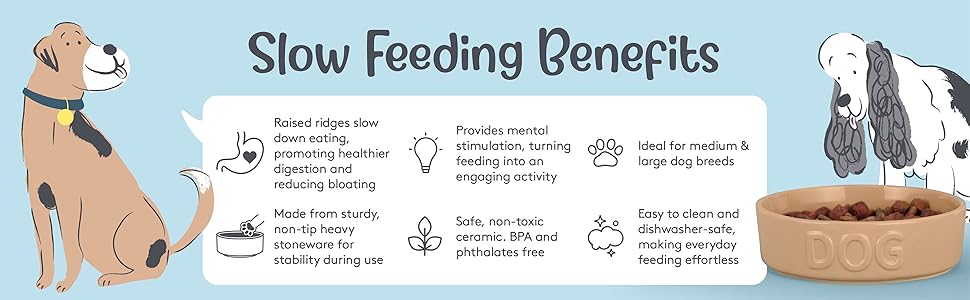 Миска для собак Mason Cash Cane Keramik для повільного годування, кераміка, підвищені борозни, для здорового травлення, довговічна, придатна для миття в посудомийній машині, для собак маленьких, середніх та великих порід