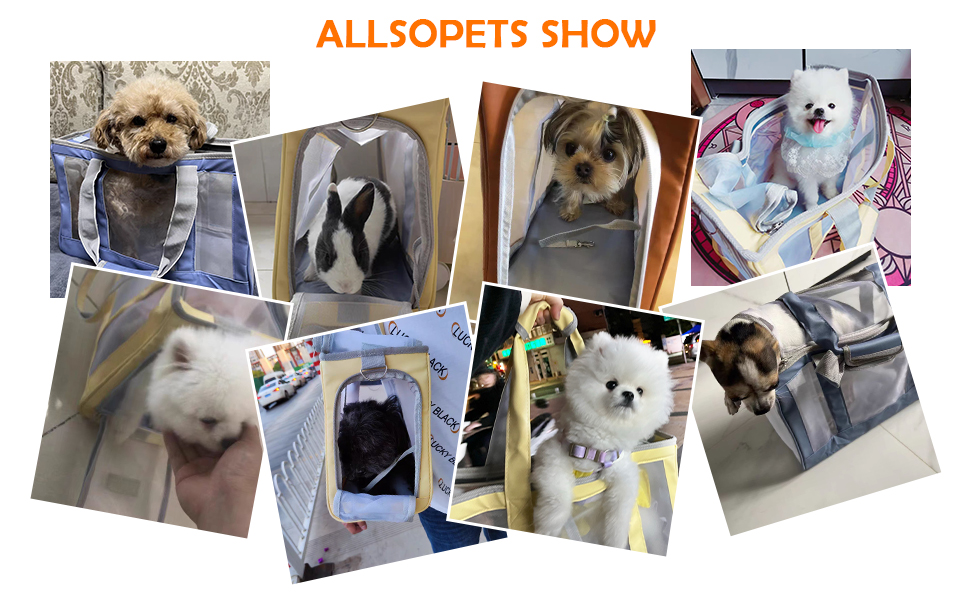 Транспортна сумка для собак та котів ALLSOPETS - дихаюча переноска для цуценят та котів, знімний килимок, сумка для подорожей, кемпінгу та прогулянок, блакитна