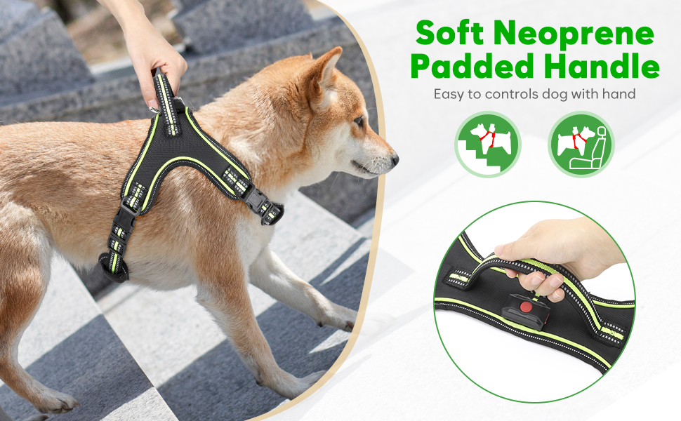 Світлодіодне обіднє світловідбиваючий нашийник для собак з ручкою, перезаряджається, для безпеки вночі, середніх та маленьких собак (L, Зелений)