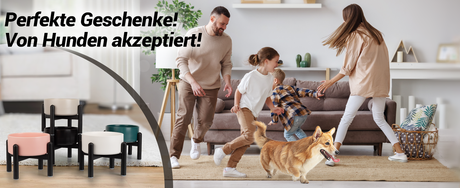 Підвищена годівниця для собак, керамічна миска для корму з нержавіючою підставкою - для маленьких та середніх собак, діаметр 15,5 см, об'єм 850 мл, білий колір