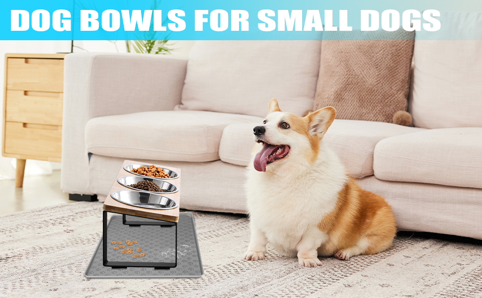 Підвищені годівниці для котів 3 шт. з нержавіючої сталі, 15° нахил, з підставкою з силікону та металевим кріпленням. Миска для корму та води для котів та маленьких собак