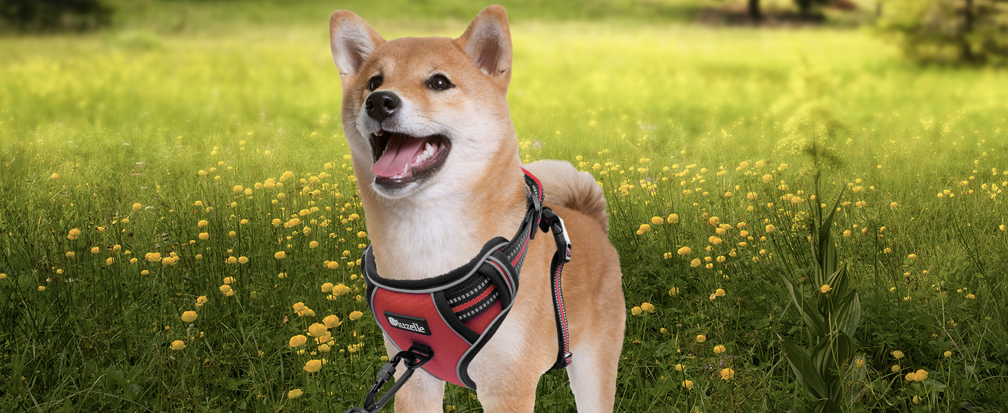 Шлейка для собак середніх порід Bluzelle з ручкою та кишенею для GPS-трекера, світловідбиваюча, дихаюча, зелена (XS, червона)