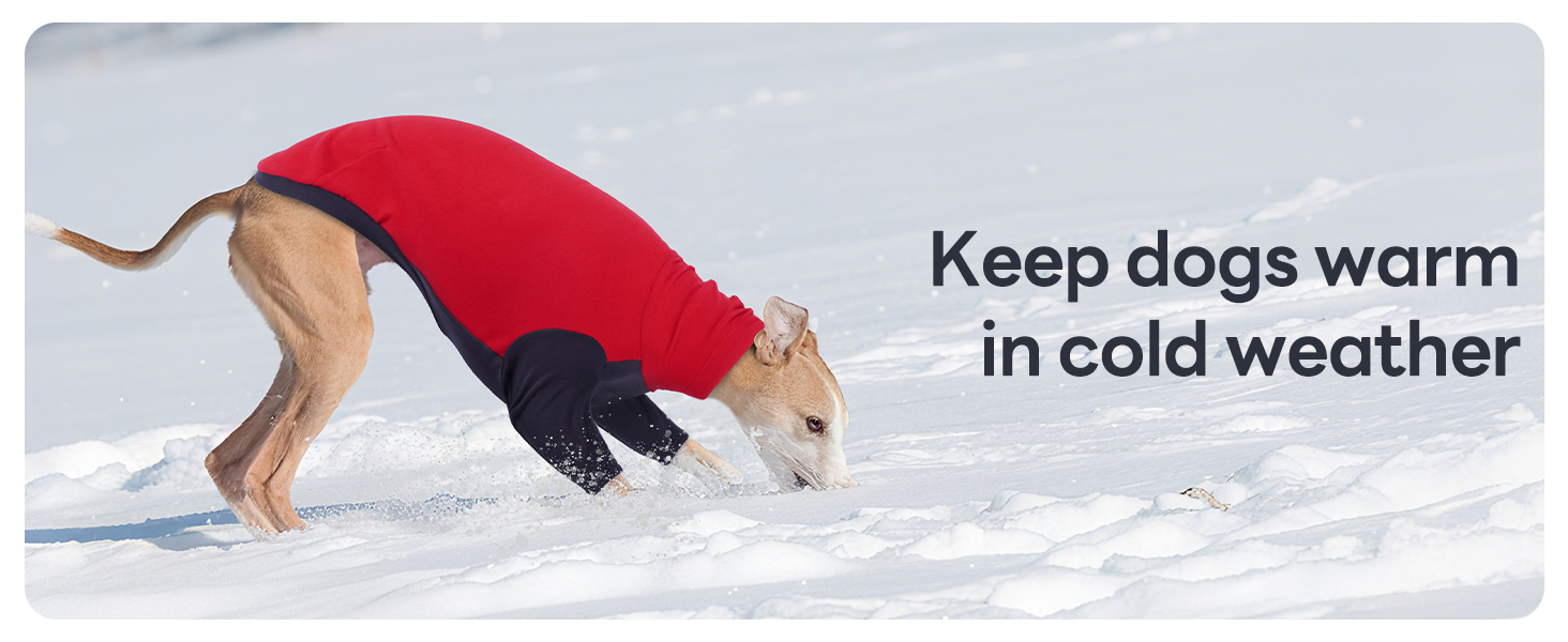 Теплий зимовий пуловер для грейхаундів та інших породистих собак, флісова куртка, піжама, жилет, червоний (L)