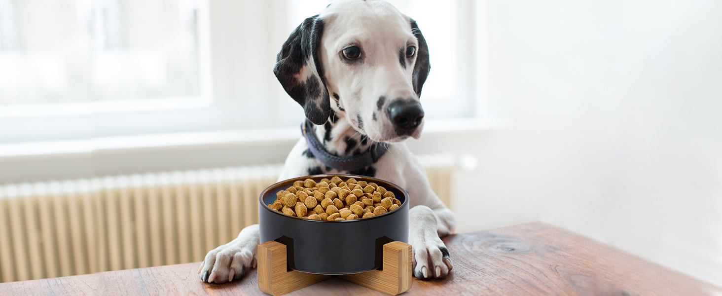 Набір мисок для собак та котів SPUNKYJUNKY з кераміки, 2 шт., 400 мл, блакитний, з підставкою з бамбука