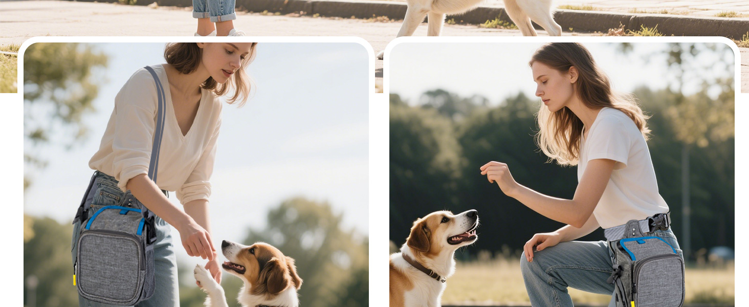 PETCUTE: Сумка для дресирування собак, зручна та міцна, з дозатором для відходів, сіра+блакитна