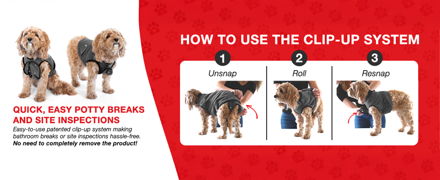 Захисний боді для собак після операції (кастрація/стерилізація), альтернатива нашийнику, сірий, 2XL