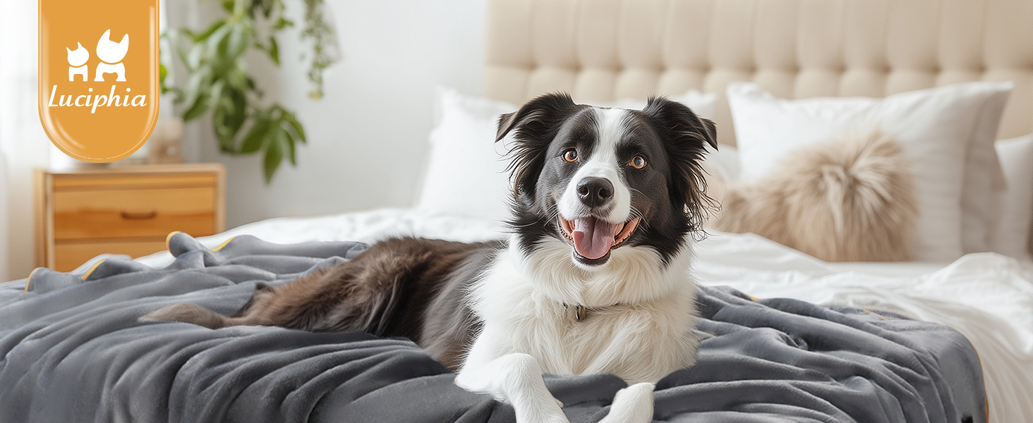 Водонепроникний килимок для собак Luciphia, миючий, для великих та середніх собак та котів, теплий, м'який, з флісу Sherpa, 145 x 165 см, бежевий