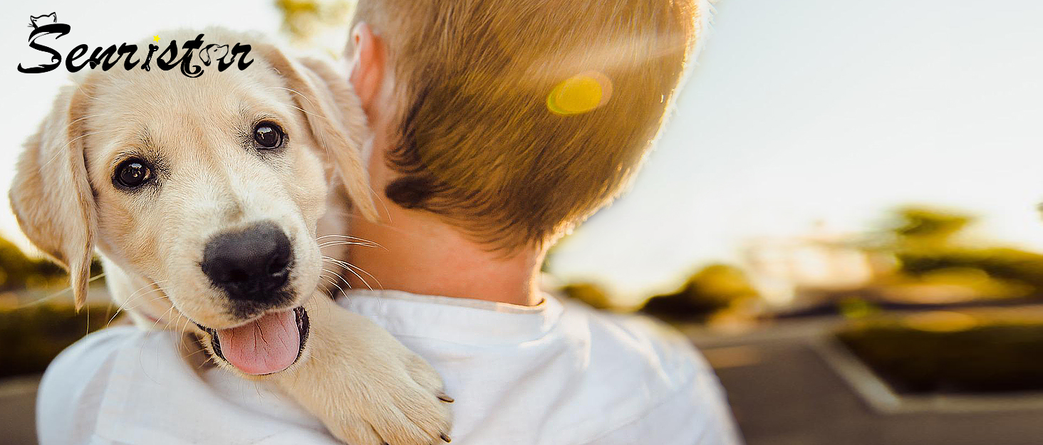 Іменний світловідбиваючий нашийник та поводок для собак та котів Senristar, блакитний комплект. Персоналізований нашийник з гравіюванням, XS (ширина 1,5 см, обхват шиї 19-25 см)