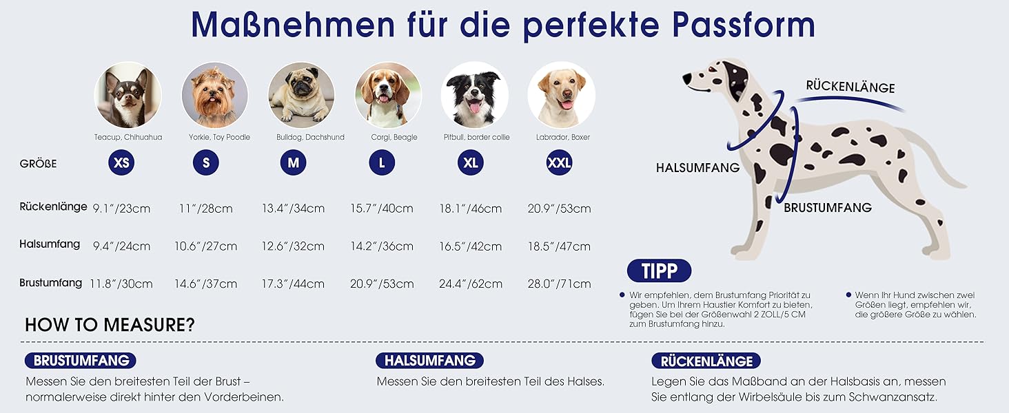 Теплий та м'який пуловер для собак Queenmore | Turtleneck для Corgi, Beagle, Французького бульдога, Шнауцера, Такси | Розмір L, Колір блакитний