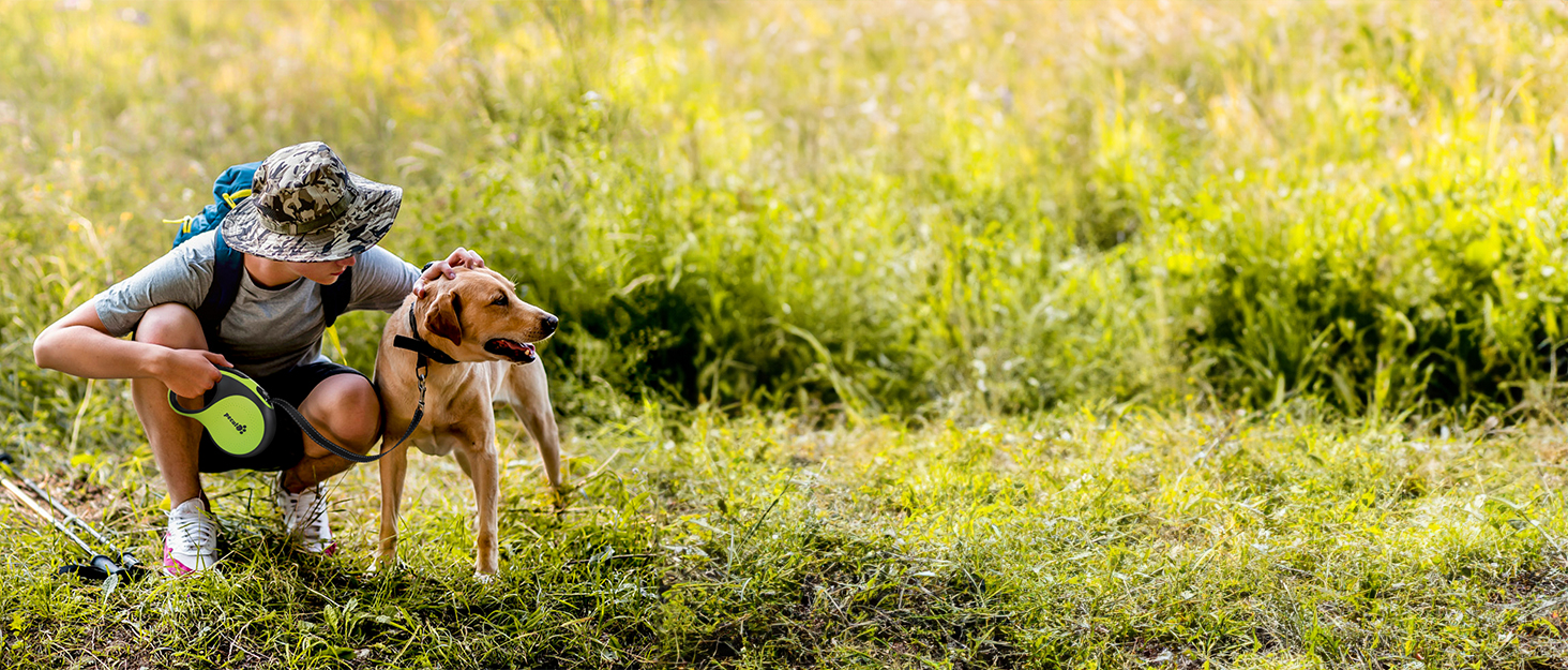 Рулетка для собак Pecute 8м, 50 кг, зелена - безперешкодна, з антиковзним грифом