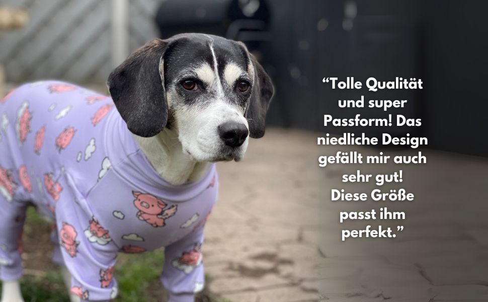 Піжама для собак Spark Paws, ультрам'яка, 4-стороння еластичність, для відновлення після операції, спальний костюм-комбінезон для маленьких, середніх та великих собак, When Pigs Fly, L (7-10 кг)