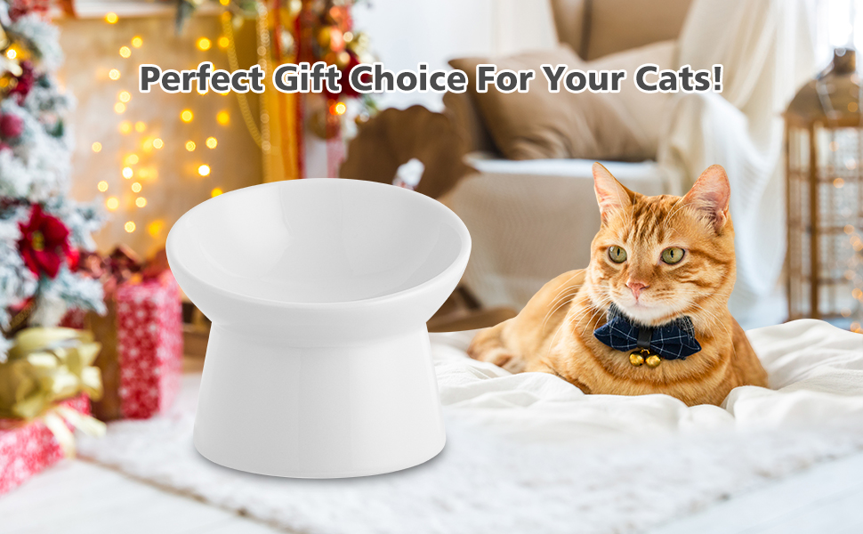 Котло propositions для котів з кераміки, піднятий годівниця, 15° нахил, 280 мл, білий, великий - для запобігання зригування