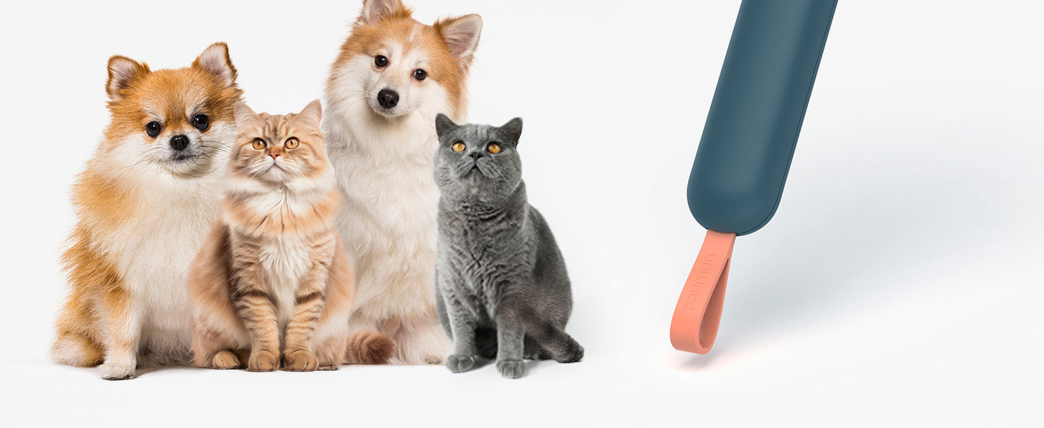 Щітка для котів Kurzhaar, для короткошерстих котів, видаляє підшерсток та ковтунці, самоочисна, зелена