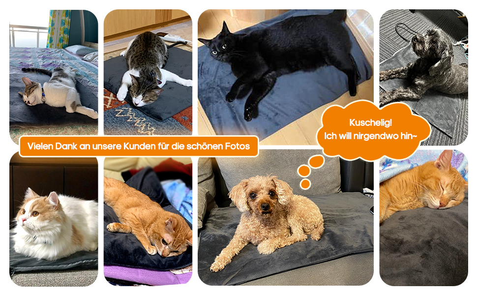 Електричний килимок для тварин 45x70 см - нагрівальний килимок для собак та котів з 9 температурними режимами (35–55℃) та таймером, бісостійкий кабель 1.8 м, 2 знімні чохли