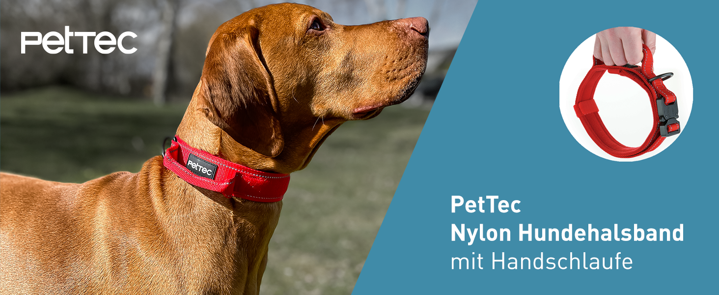 Нашийник для собак PetTec з неопрену та нейлону з ручкою, м'який, регульований, водонепроникний, комплект з повідком, червоний, розмір L (51-61 см)