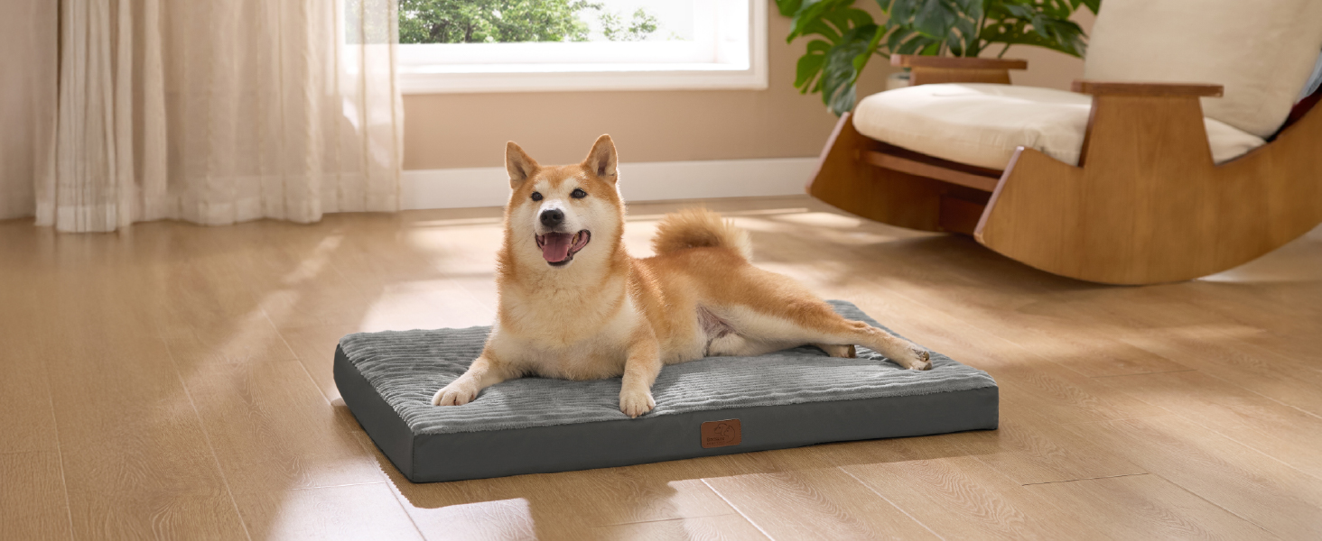 Крісло-лежанка для собак середніх порід BEDSURE - м'яке ліжко з антиковзною основою та знімним чохлом, сірого кольору, 89x56x7 см